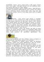 Referāts 'Āfrikas dzīvā daba', 5.