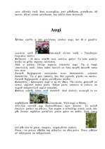 Referāts 'Āfrikas dzīvā daba', 6.