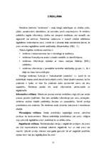 Referāts 'Reklāmas ietekme uz pusaudžu vērtīborientāciju', 13.