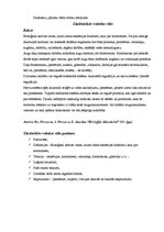 Paraugs 'Latviešu valodas funkcionālie un emocionāli ekspresīvie stili', 3.