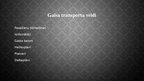 Prezentācija 'Gaisa transports', 9.