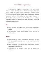 Konspekts 'Haotiska tipa organizācija', 1.