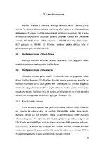 Referāts 'Magnētiskās rezonasnes izmeklējuma rezultāti dinamikā pacientiem ar multiplo skl', 9.