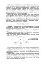 Konspekts 'Jēdzienu būtība', 2.