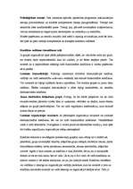 Konspekts 'Starpgrupu konflikti', 4.