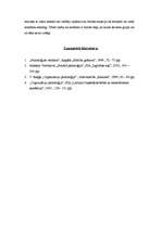 Konspekts 'Starpgrupu konflikti', 5.