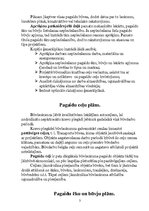 Konspekts 'Plānu veidi būvniecībā', 3.