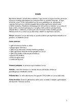 Referāts 'Iepirkšanās tiešsaitē tendences Latvijā', 5.