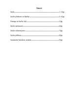 Referāts 'Saule un saules aptumsumi', 1.