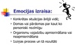 Prezentācija 'Jūtas un emocijas', 9.