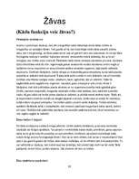 Referāts 'Miegs, sapņi, žāvas', 1.