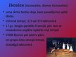 Prezentācija '17.gadsimta izklaide: dejas', 10.