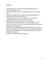 Referāts 'Mežsaimniecības attīstības iespējas Rēzeknes novadā', 16.