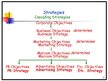 Prezentācija 'Marketing Communication Strategies', 13.