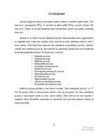 Referāts 'Lietu izskatīšanas pamatprincipi', 11.