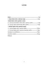 Referāts 'Banku aktīvās operācijas un to analīze', 2.