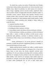 Referāts 'Banku aktīvās operācijas un to analīze', 8.