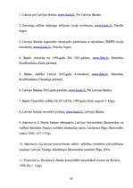 Referāts 'Banku aktīvās operācijas un to analīze', 46.