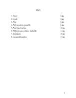 Referāts 'Pirts telpu kopšana', 2.