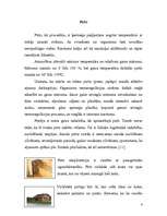 Referāts 'Pirts telpu kopšana', 4.