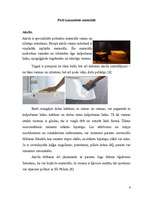 Referāts 'Pirts telpu kopšana', 6.