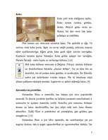 Referāts 'Pirts telpu kopšana', 7.