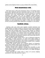 Referāts 'Mežs kā ekosistēma', 8.