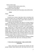 Referāts 'Citu cilvēku ietekme uz cilvēka personības veidošanos', 21.