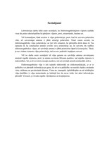 Eseja 'Elektrība un magnētisms', 2.