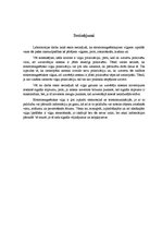 Eseja 'Elektrība un magnētisms', 3.