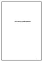 Referāts 'Latviešu mūzikas instrumenti', 1.
