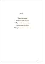 Referāts 'Latviešu mūzikas instrumenti', 2.