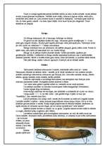 Referāts 'Latviešu mūzikas instrumenti', 5.