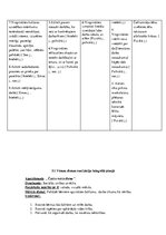 Prakses atskaite 'Kvalifikācijas prakse pirmsskolas izglītības iestādē', 11.