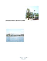 Referāts 'Internship Report', 6.