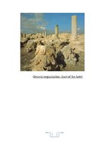 Referāts 'Internship Report', 9.