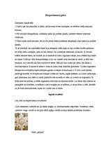 Referāts 'Strukturēts ūdens - globāls informācijas glabātājs un pārnesējs', 8.