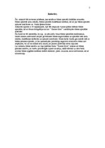 Referāts 'Prakses atskaite SIA "Karme filtrs"', 2.