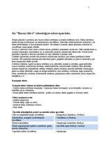 Referāts 'Prakses atskaite SIA "Karme filtrs"', 7.