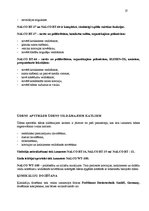 Referāts 'Prakses atskaite SIA "Karme filtrs"', 27.