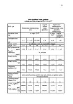 Referāts 'Prakses atskaite SIA "Karme filtrs"', 31.