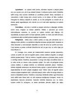 Referāts 'Transkulturālās zinības manā praksē', 4.