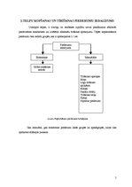Referāts 'Viesnīcas telpu kopšanas un tīrīšanas piederumi', 5.