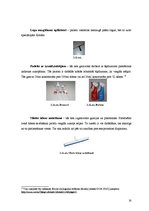 Referāts 'Viesnīcas telpu kopšanas un tīrīšanas piederumi', 16.