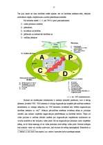 Diplomdarbs 'Vides pārvaldības sistēmas elementi un to loma komercsabiedrībā', 12.