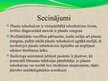 Prezentācija 'Pacienta aprūpe, veicot krūškurvja rentgenogrammu pie nediagnosticētas plaušu tu', 11.
