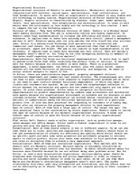 Eseja 'Organizational Structure ', 1.