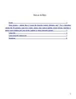 Referāts 'Lienas tēls brāļu Kaudzīšu romānā "Mērnieku laiki"', 2.