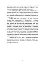 Referāts 'SIA "Latio" organizācijas apraksts', 7.