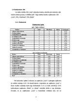 Referāts 'SIA "Latio" organizācijas apraksts', 8.